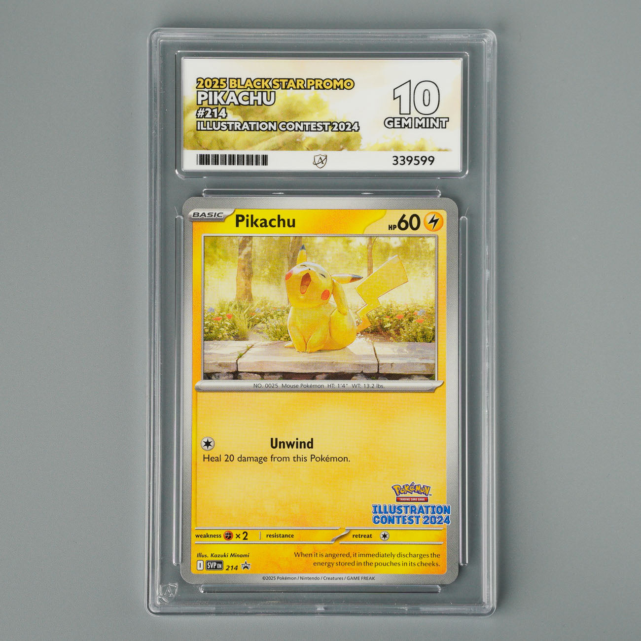 Pikachu 214 ACE 10 Illustration Contest Pokémon Card