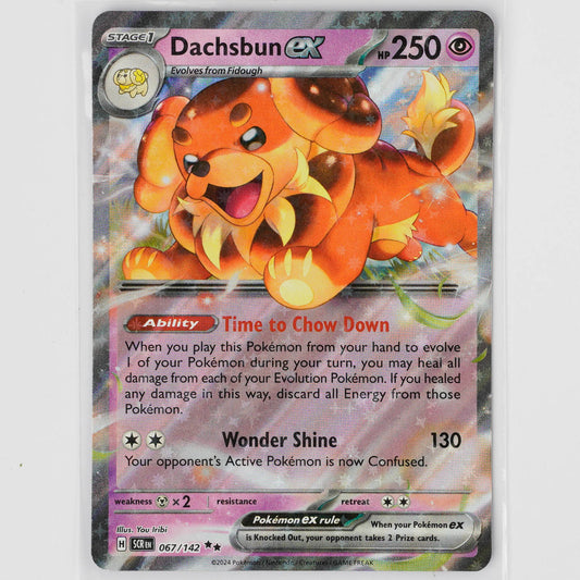 Dachsbun ex 067/142 Stellar Crown Pokémon Card